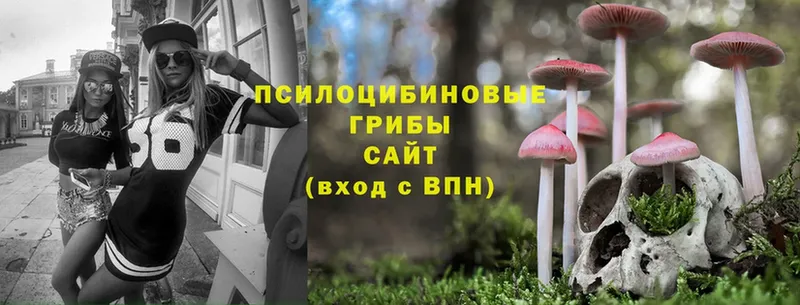 Галлюциногенные грибы Magic Shrooms  mega как зайти  нарко площадка наркотические препараты  Уссурийск 